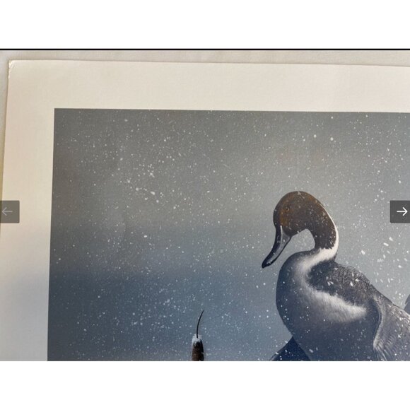 Phillip Crowe Snowy Refuge Signed Limited Edition Offset Lithograph Print - Picture 2 of 12